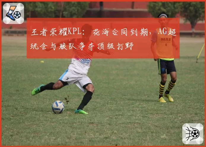 王者荣耀KPL：花海合同到期，AG超玩会与狼队争夺顶级打野