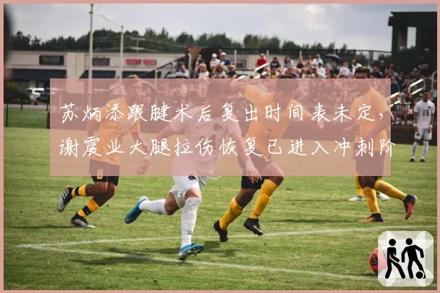 苏炳添跟腱术后复出时间表未定,谢震业大腿拉伤恢复已进入冲刺阶段