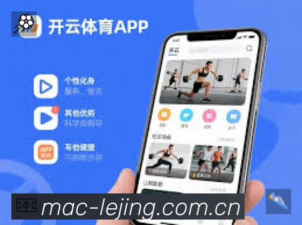 全球访问热力分布图